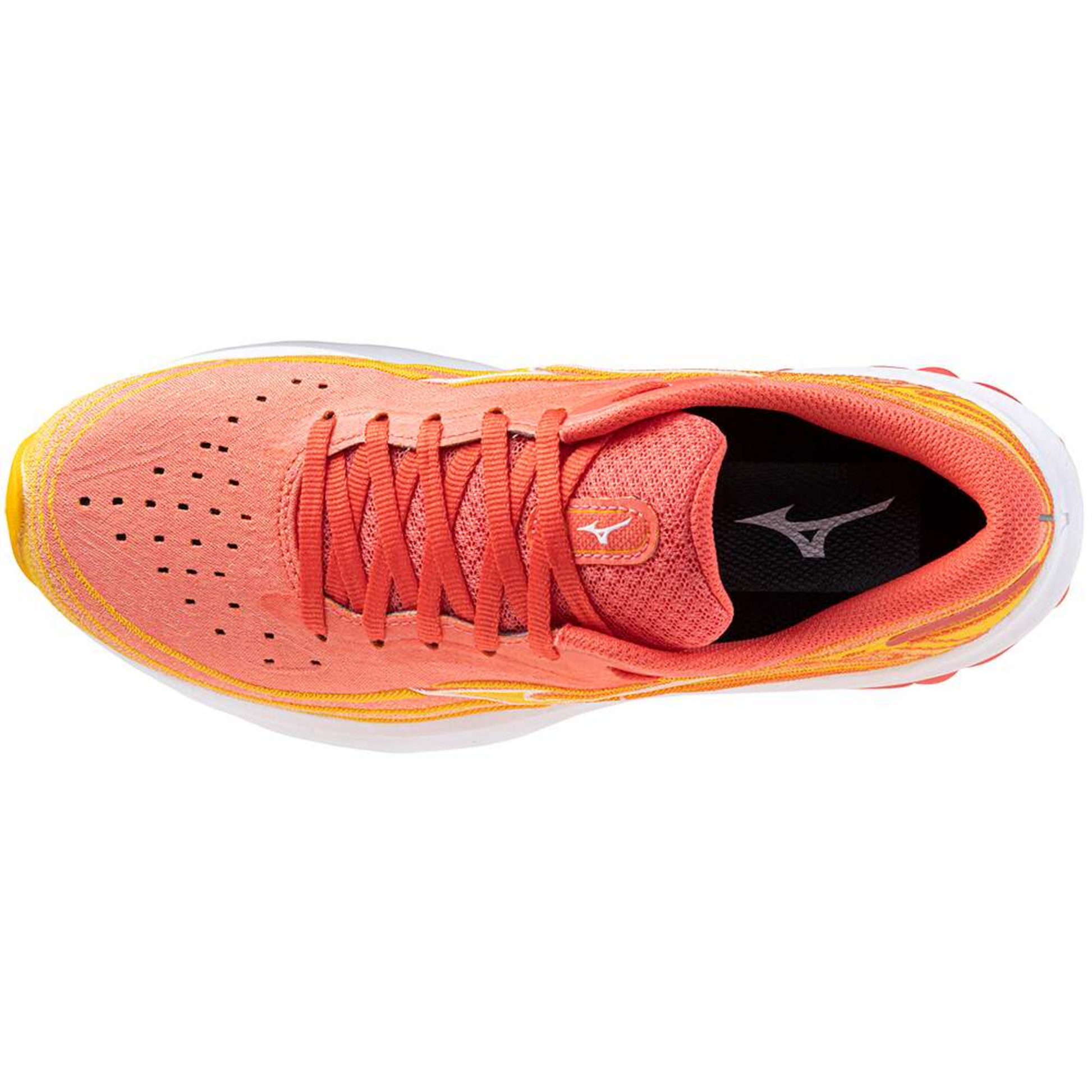 WAVE SKYRISE 5 - Footwear - Shoes