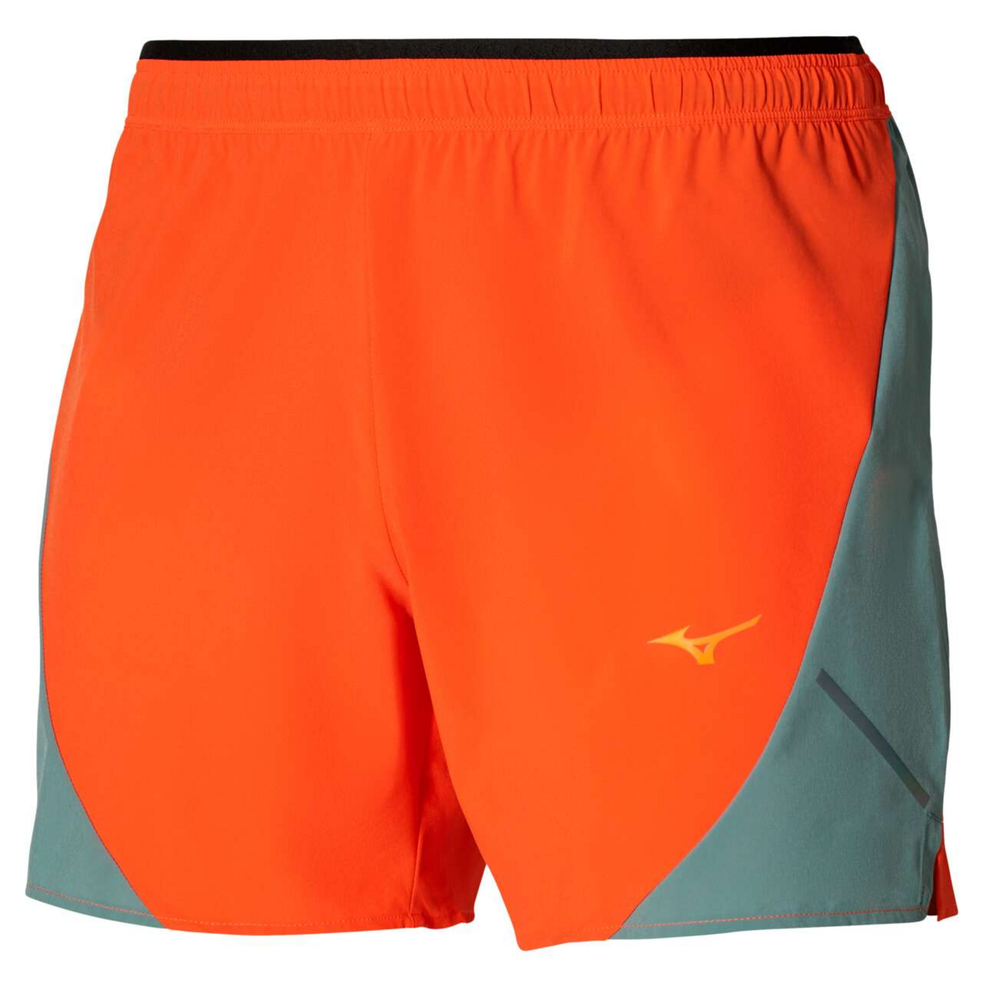 ALPHA 5.5 SHORT - Clothing - Shorts